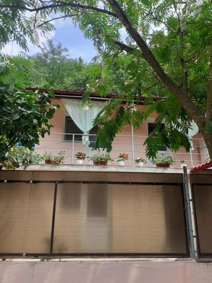 Casa Iza Apartment Байле Херкулане Екстериор снимка